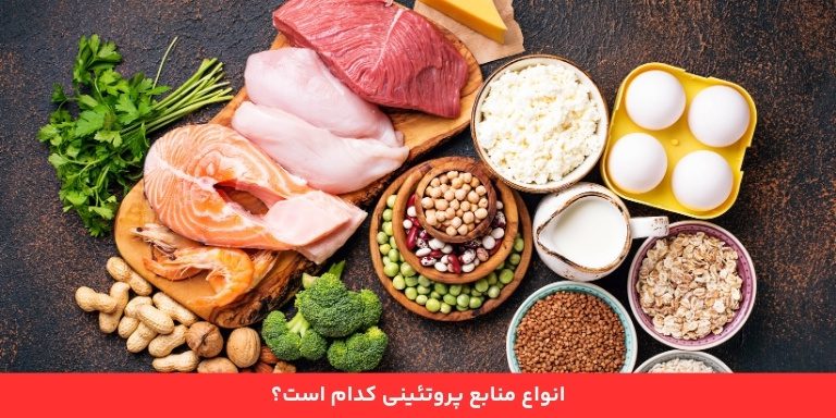 انواع منابع پروتئینی کدامند؟