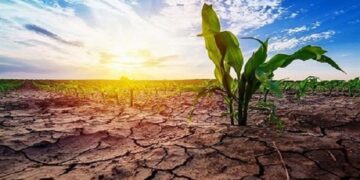 شدت خشکسالی در ایران کاهش یافت