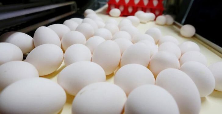 صادرات بیش از ۱۳۶ هزار تن تخم مرغ در سال