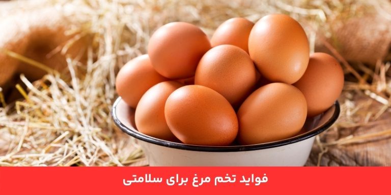 فواید تخم مرغ برای سلامتی 