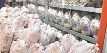 قیمت انواع مرغ ۷ فروردین ۱۴۰۳