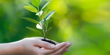 لزوم پایش عرصه و مبارزه به موقع با عوامل خسارت‌زای