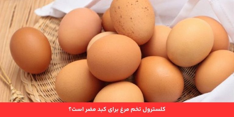 آیا کلسترول تخم مرغ برای کبد مضر است؟