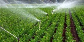 کشاورزان با فراهم سازی بستری مناسب در مصرف بهینه آب