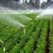 کشاورزان با فراهم سازی بستری مناسب در مصرف بهینه آب