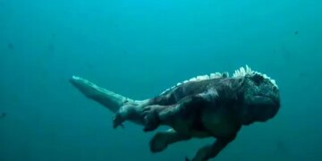 1711943530 ویدئویی از جاسوسی یک ایگوانای روباتیک در زیر آب