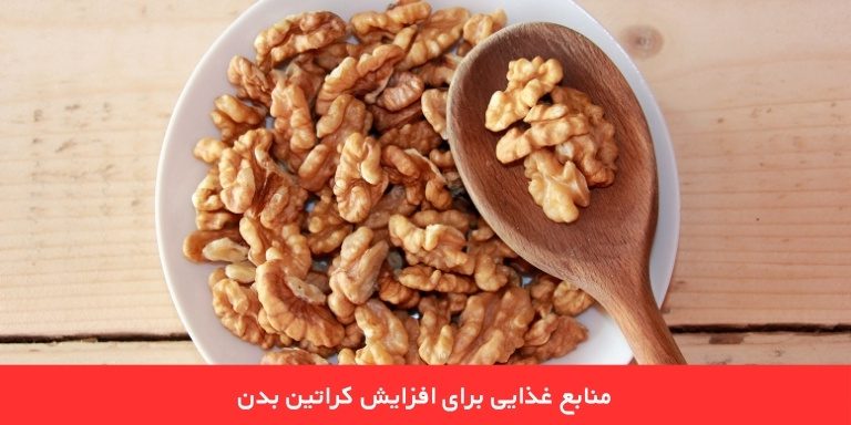 منابع غذایی برای افزایش کراتین بدن