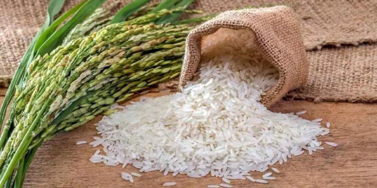 1712507392 تاثیر قیمت برنج به میزان 1403تغییرات محسوس است