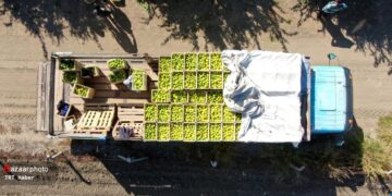 1712551873 وعده‌های پارسالی صادرات محقق نشد موانع لجستیکی تجارت