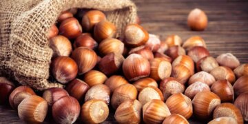 1714479989 چهار اثر منحصر به فرد فندق برای سلامت بدن