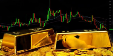 images 1713267459 661e6303db7af