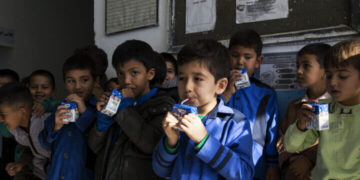 آغاز توزیع شیر مدارس در سال ۱۴۰۳؛ توزیع ۱۵ نوبت