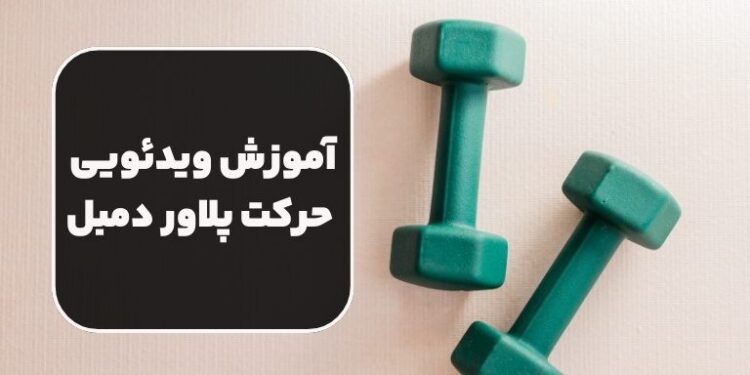 آموزش ویدئویی نحوه انجام حرکت پلاور دمبل ( پول اور )