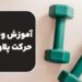 آموزش ویدئویی نحوه انجام حرکت پلاور دمبل ( پول اور )