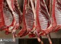 آیا گوشت گران می شود؟