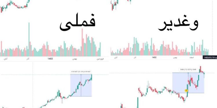 تحلیلی برای خرید مطمئن بازار سهام در سال 1403 / کدام نمادها پرتفوی سهامداران را بیمه می کنند؟