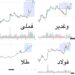 تحلیلی برای خرید مطمئن بازار سهام در سال 1403 / کدام نمادها پرتفوی سهامداران را بیمه می کنند؟