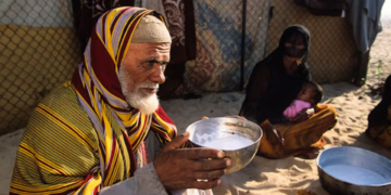 تبدیل شتر به گاو