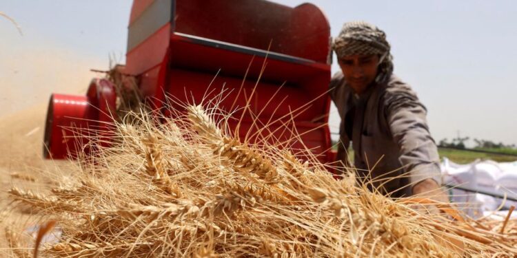 دولت سیزدهم از ۲ سال قبل قدم در راه خودکفایی