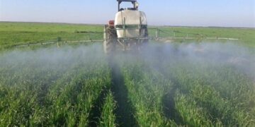 مبارزه با علف های هرز در سطح ۲۲ میلیون هکتار