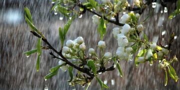 هشدار قرمز هواشناسی برای بارش شدید باران در ۵ استان