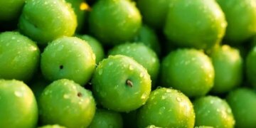 چهار میلیون گوجه سبز و 15 میلیون بادام غیرممکن است