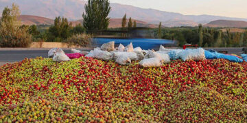 کشاورزان شمالغرب کشور در آستانه ورشکستگی کامل