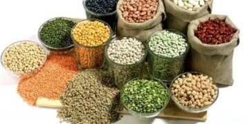 گرانی لوبیا همه را شاکی کرد نخود و حبوبات نجومی