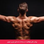 1717629897 949 برنامه بدنسازی چربی سوزی بیشترین چربی را بسوزانید و عضله