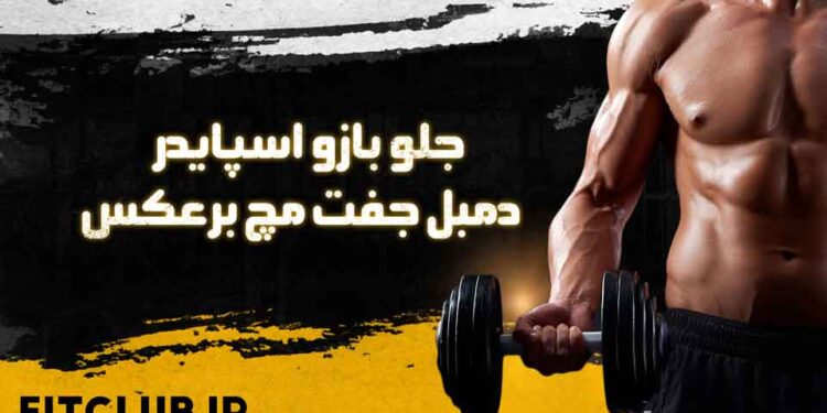 آموزش حرکات ورزشی دمبل ساعد عنکبوتی جفت مچ معکوس