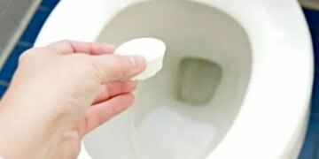 1719918587 نظافت آسان توالت فرنگی و ایرانی