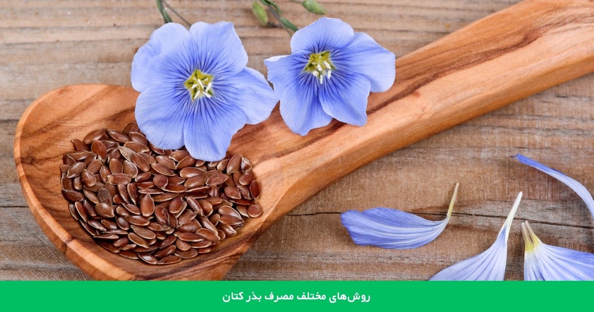 روش های مختلف مصرف بذر کتان