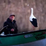 1742057777 نخ تکرار می شود زمان.webp