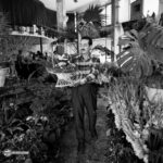 1742803141 114 گردش مالی بازار گل تهران 5 سال پیش چه بود؟