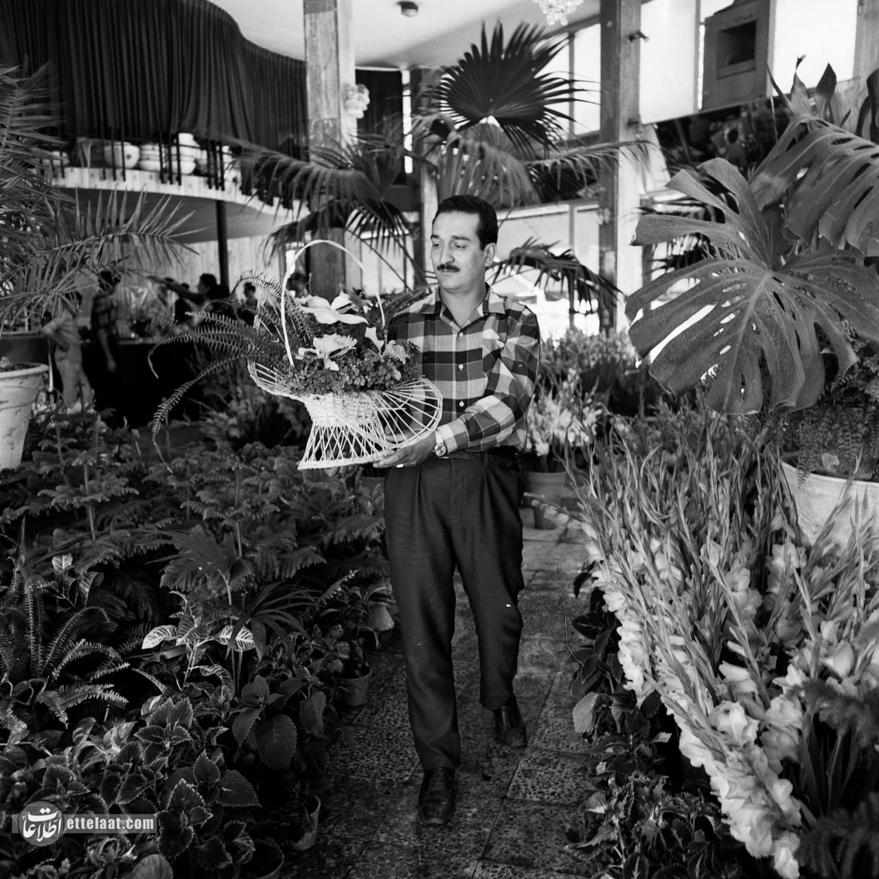   گردش مالی بازار گل تهران 5 سال پیش چه بود؟ +عکس