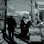 1742803142 686 گردش مالی بازار گل تهران 5 سال پیش چه بود؟