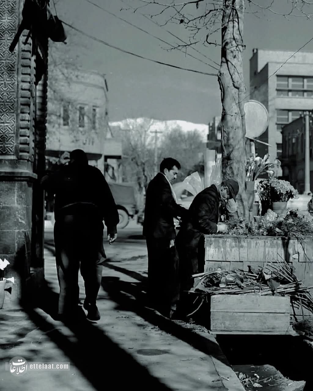   گردش مالی بازار گل تهران 5 سال پیش چه بود؟ +عکس