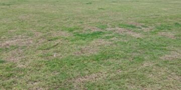 بازی Chadelmu persepolis ؛ نگرانی کارتال از سرزمین یزد