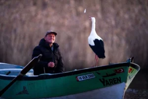 iolby8r3ve6vwfd7v43luw