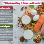 1747163896 307 پروتئین چیست؟ 5 نقش مهم پروتئین در بدن به زبان.webp