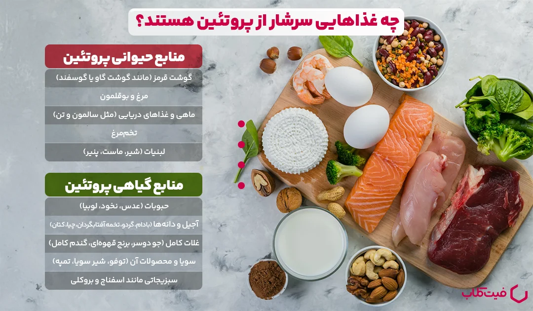 منابع پروتئین: چه غذاهایی از نظر پروتئین زیاد هستند؟