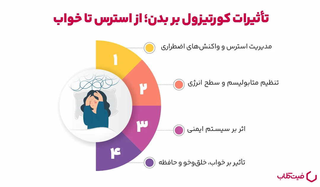 مکانیسم ترشح کورتیزول ؛ بدن ما چگونه آن را کنترل می کند؟