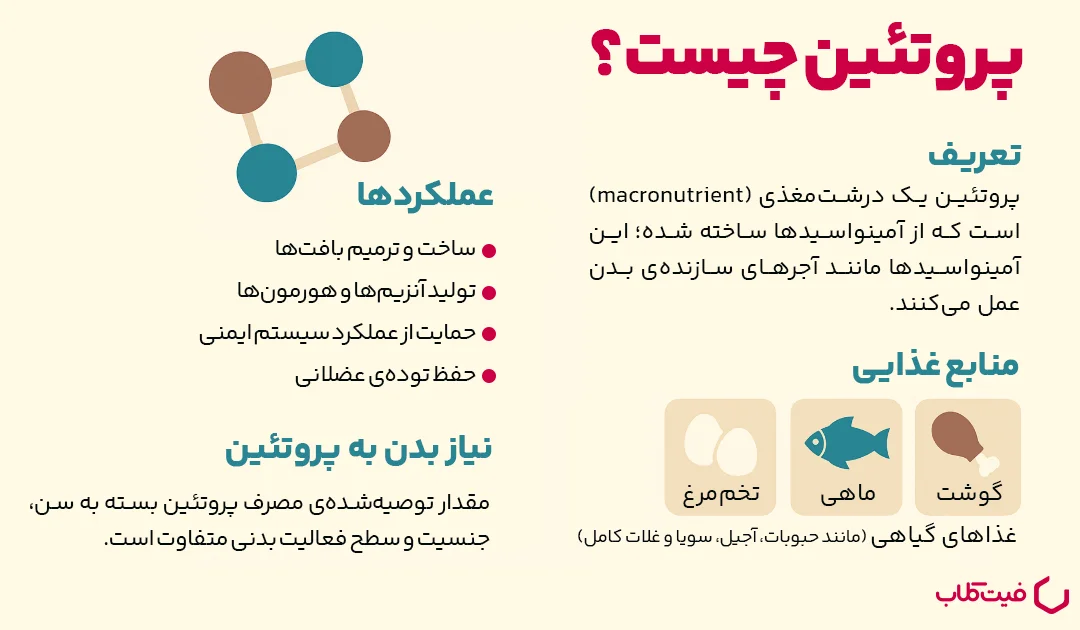 پروتئین چیست؟ 5 نقش مهم پروتئین در بدن به زبان.webp