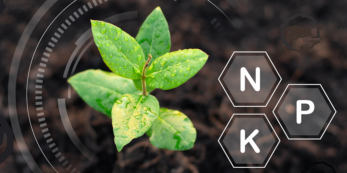 211e3072 9916 44dc 9fb9 8ba0a8168e93