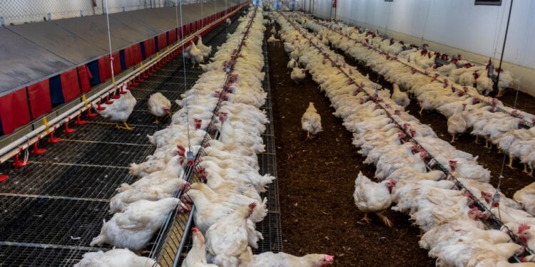 0b1jdZ6DXj8Tm0opScKNG678XUsjPZIBw3xvRzIw