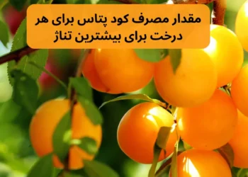 a04d0d19 5c69 4674 a448 0c5de20711da