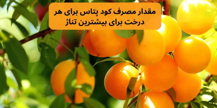 a04d0d19 5c69 4674 a448 0c5de20711da