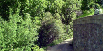 e9abb64a 2e9b 4a09 8ca6 91df9a07a7d9