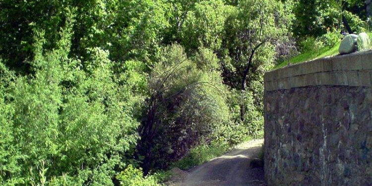 e9abb64a 2e9b 4a09 8ca6 91df9a07a7d9