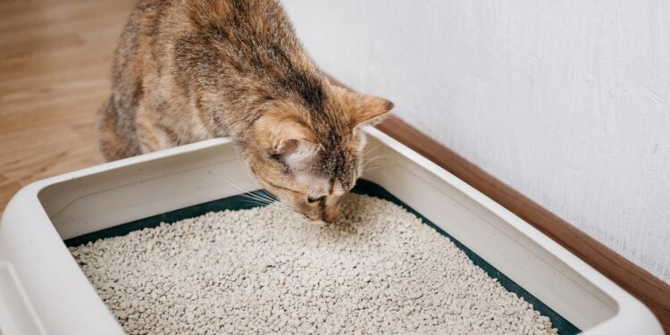 b7d72ed6 13ed 4116 b2ba fdc0c5314df3